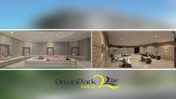 Orion Park Gold