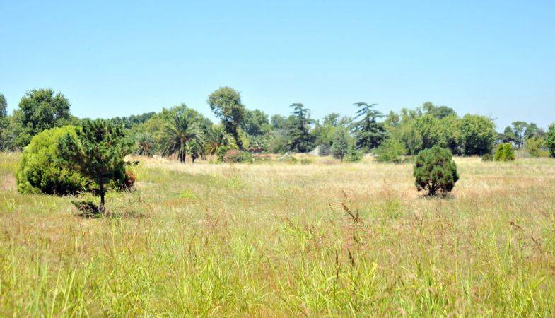 Arboretum’un Konut Alanına Dönüştürülmesine İtiraz Yağıyor!